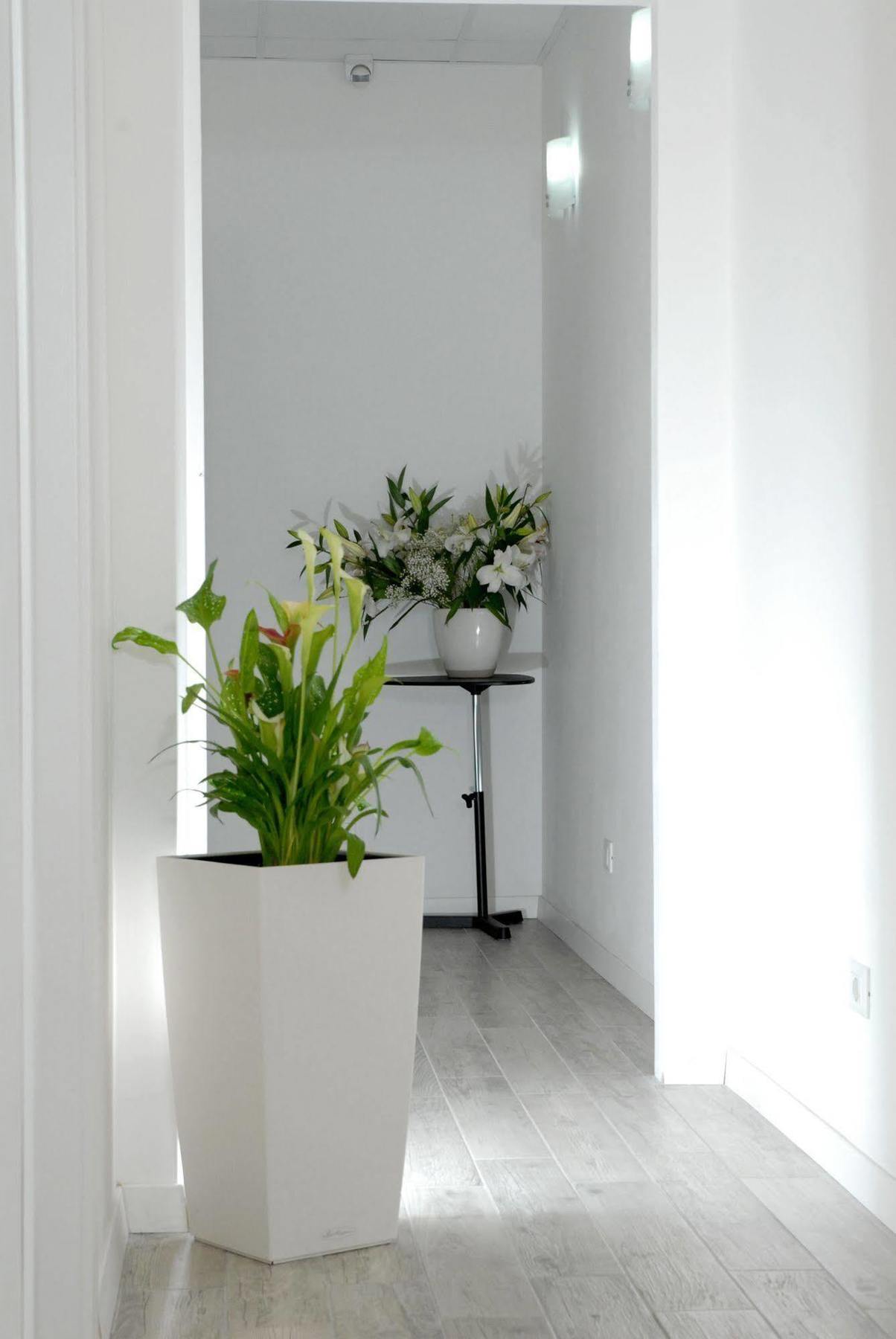 Gardenia Suite Rom Exterior foto